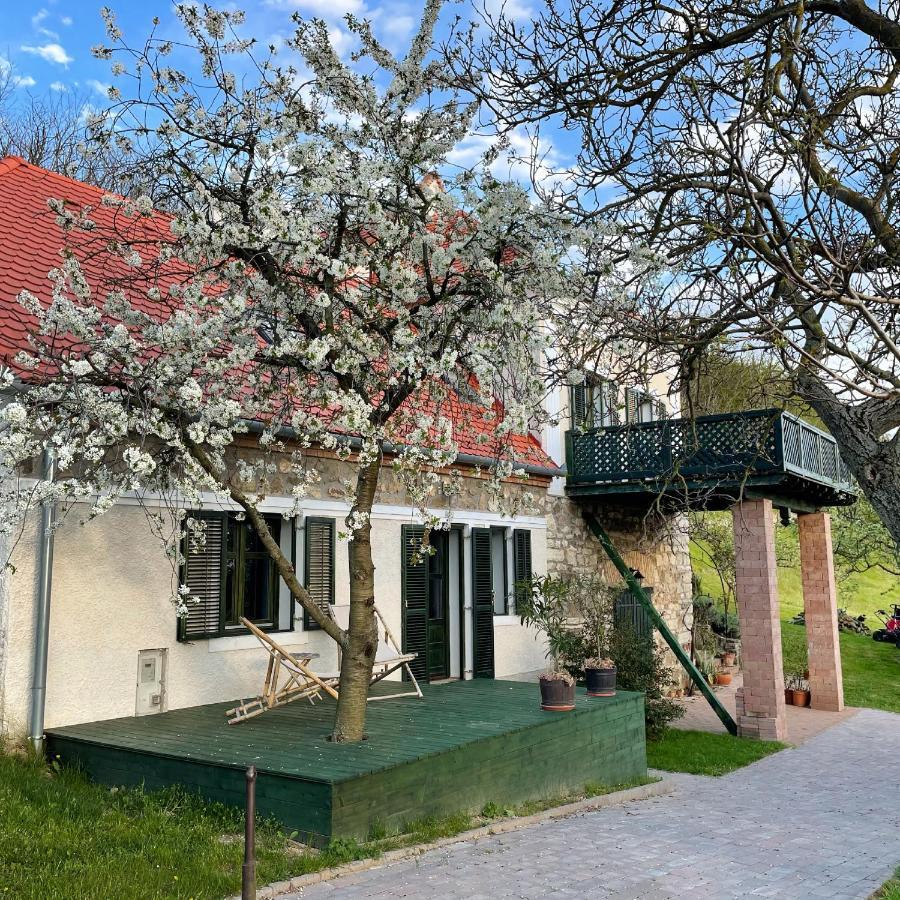 Sarga Haz Guest House Kaptalantoti Exterior foto